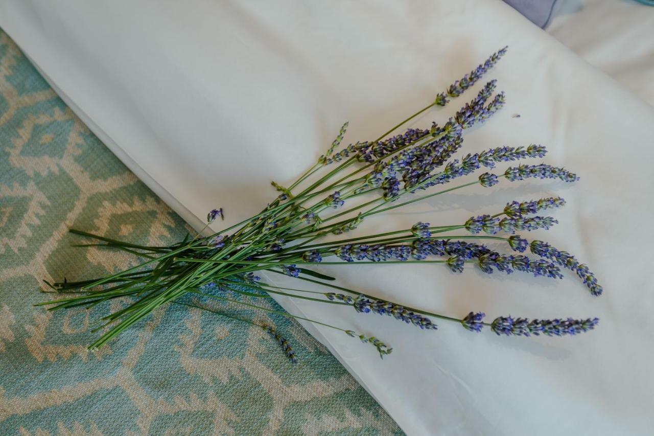 Boutique & Casa Del Mare - Mediterraneo 5* הרצג-נובי